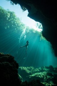 cenote freediver freefall academy