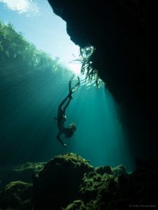 cenote freediver freefall academy