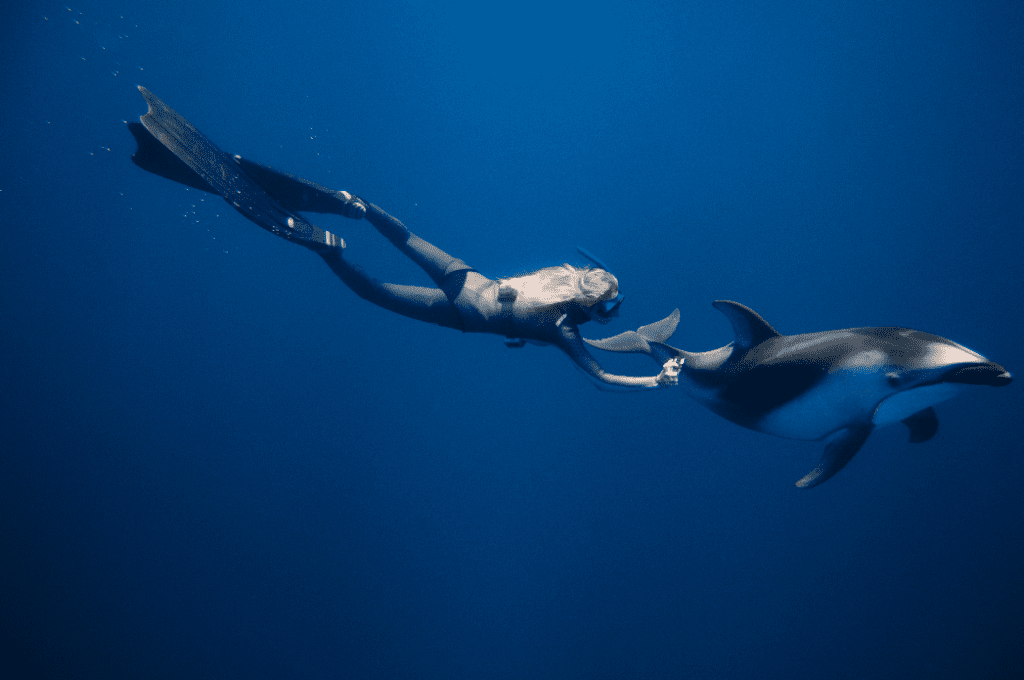 pacific white sided dolphins and freediver magbay baja mexico with freefall academy