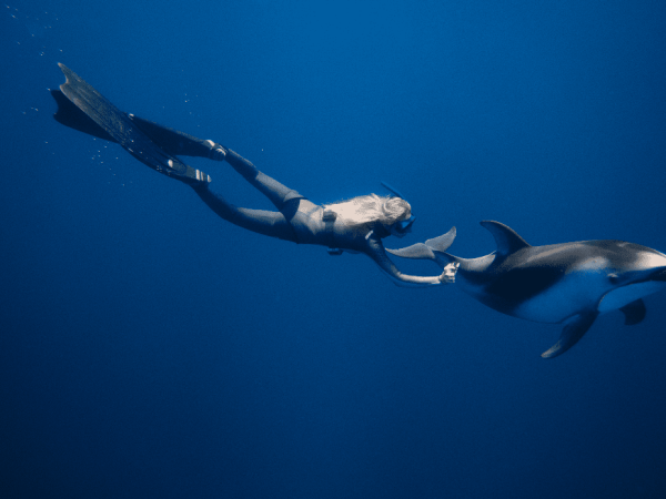 pacific white sided dolphins and freediver magbay baja mexico with freefall academy