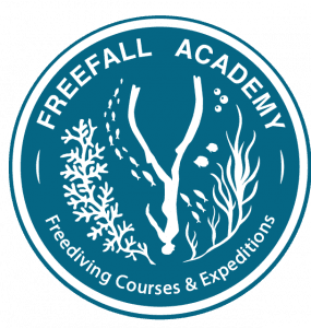 Freefall Academy logo