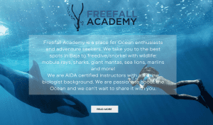 Freefall Academy