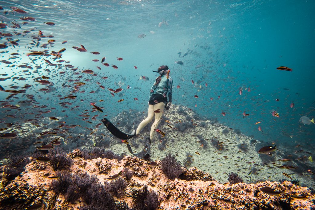 freediver la reina